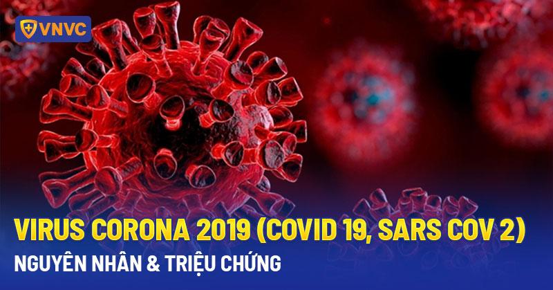 Virus Corona 2019 (Covid 19, Sars Cov 2): Nguyên nhân & triệu chứng