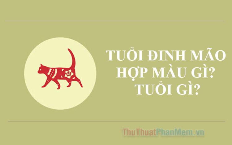 Tuổi Đinh Mão sinh năm bao nhiêu? Hợp màu gì? Thuộc tuổi gì?