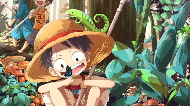 anh-luffy-2