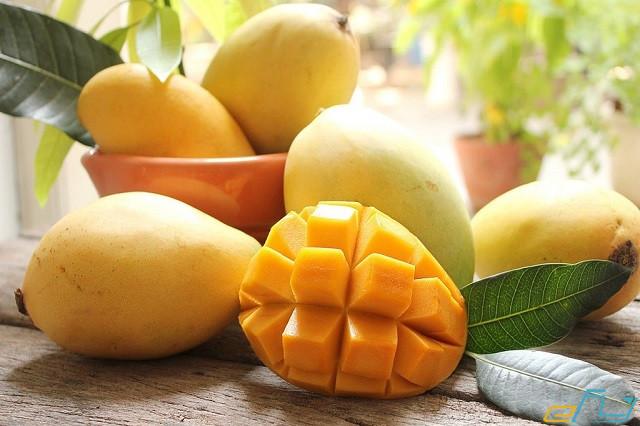 Khám phá 6 loại trái cây đặc sản Tiền Giang, chỉ cần thử một lần là bạn sẽ mê mẩn ngay - Mytour
