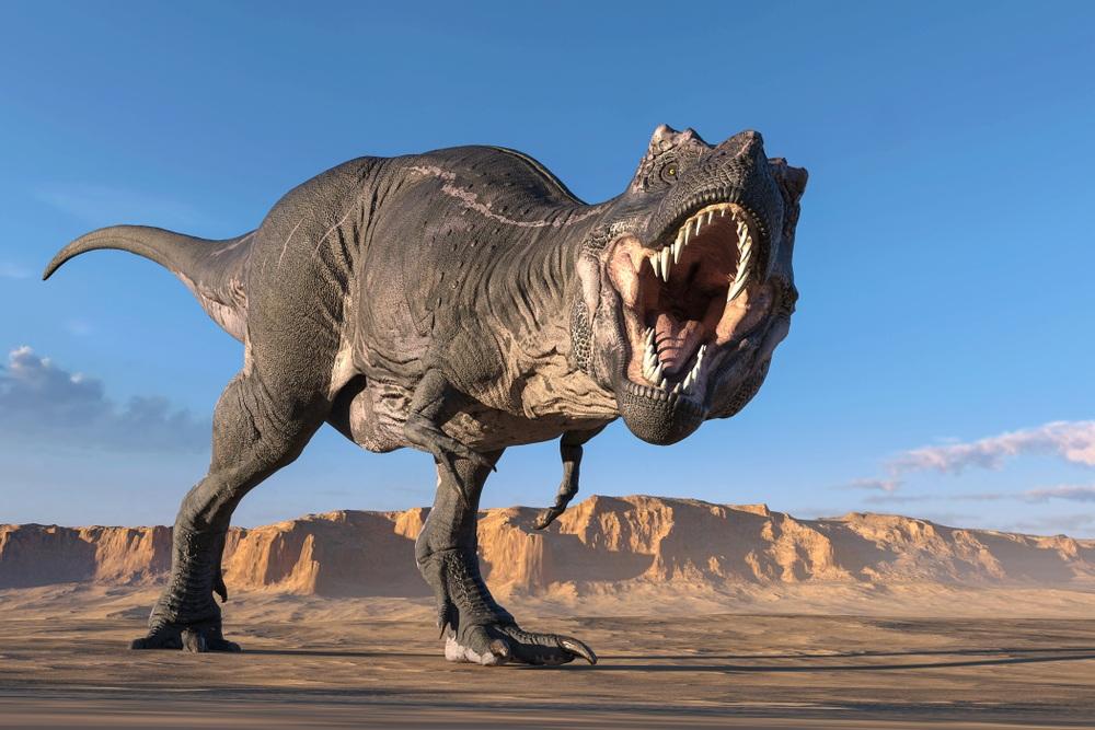 Khủng long bạo chúa T-rex luôn gắn liền với hình ảnh đáng sợ và hàm răng luôn chìa ra ngoài (Ảnh: Discover).