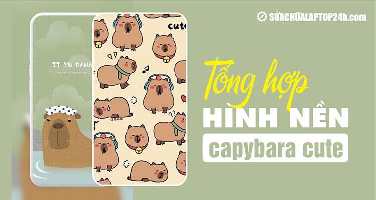 [Tổng hợp] 50+ hình nền capybara cute HD, 4K chất lượng cao