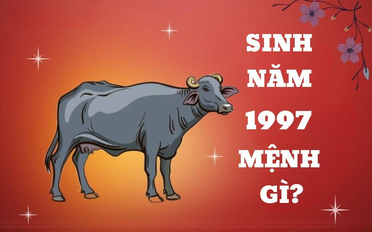 Tuổi Đinh Sửu sinh năm 1997 mệnh gì, cung gì, tuổi con gì?