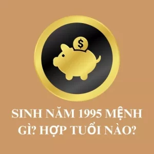 1995 mệnh gì, tuổi con gì, bao nhiêu tuổi, hợp màu gì?