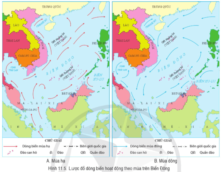 Bài 11. Phạm vi Biển Đông: Các vùng biển của Việt Nam ở Biển Đông: Đặc điểm tự nhiên vùng biển đảo Việt Nam - SGK Lịch sử và Địa lí 8 Cánh diều