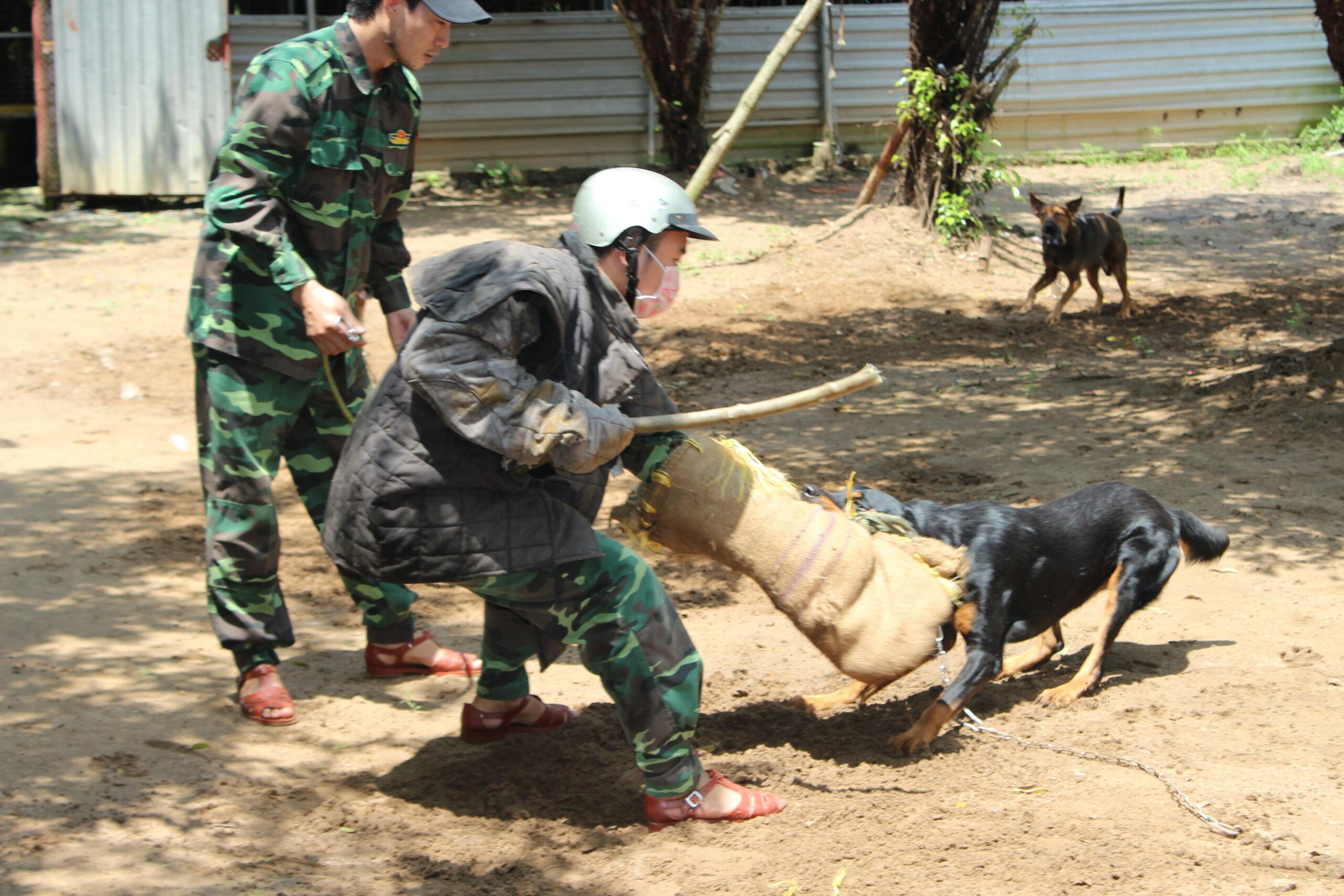 TRƯỜNG HUẤN LUYỆN CHÓ NGHIỆP VỤ 119