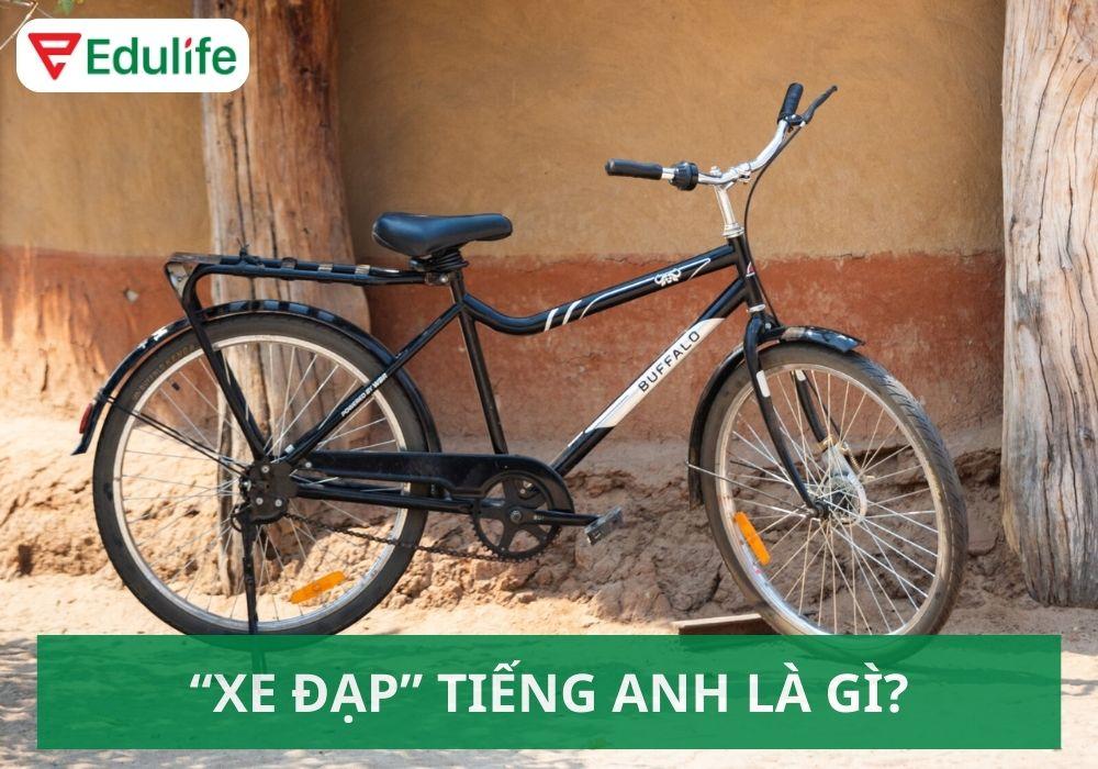 Xe đạp tiếng Anh là gì?