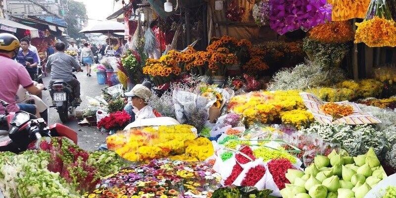 Việt Nam Tour Trekking