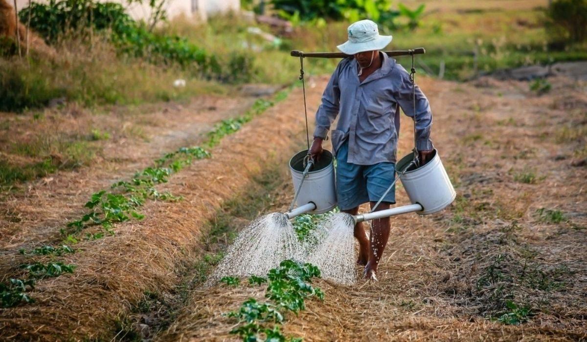 Lao động của lĩnh vực nông lâm ngư nghiệp có đặc điểm nào sau đây?