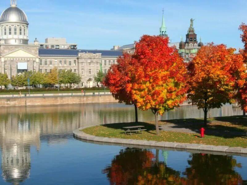 Thành phố Montreal ở đâu