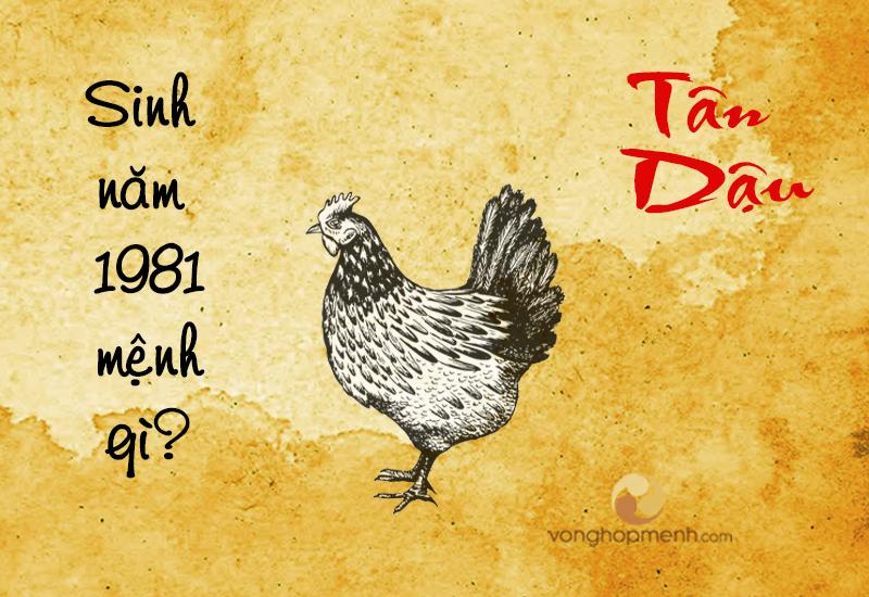 1981 mệnh gì? tuổi gì? Tình duyên, sự nghiệp, vận mệnh ra sao?