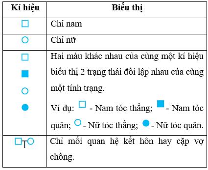 Lý thuyết Sinh học 9 Bài 28 (mới 2024 + Bài Tập): Phương pháp nghiên cứu di truyền người