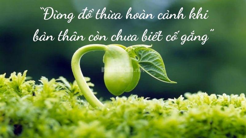 “Đừng đổ thừa hoàn cảnh khi bản thân còn chưa biết cố gắng”