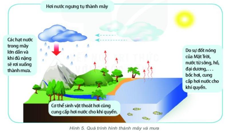 mùa mưa bắt đầu từ tháng mấy