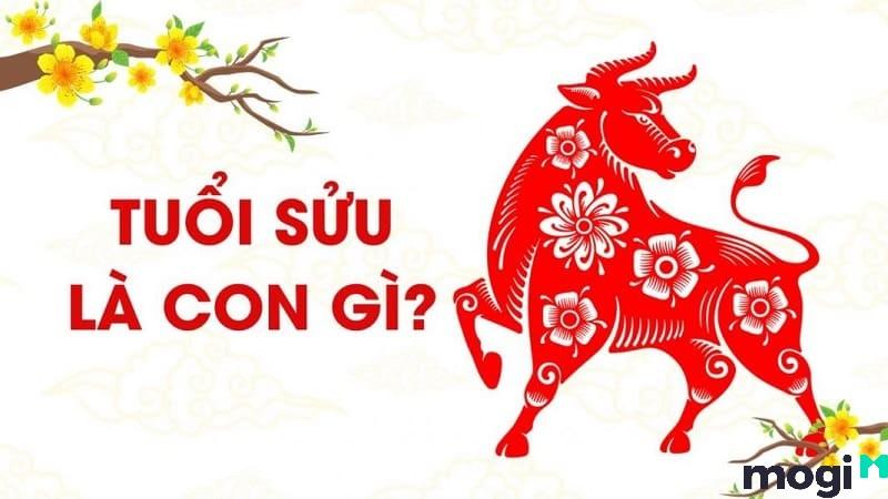 Tuổi Sửu Là Con Gì? Vận Mệnh, Tình Duyên, Sự Nghiệp Người Tuổi Sửu Năm Nay