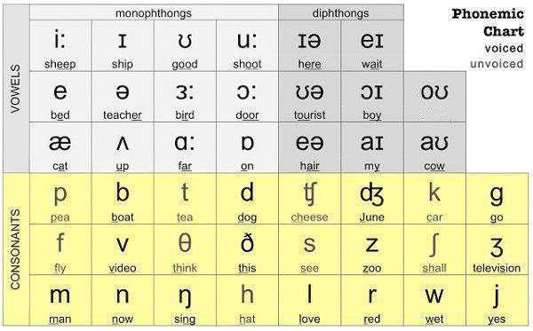 Phát âm tiếng Anh chuẩn với bảng phiên âm chữ cái IPA