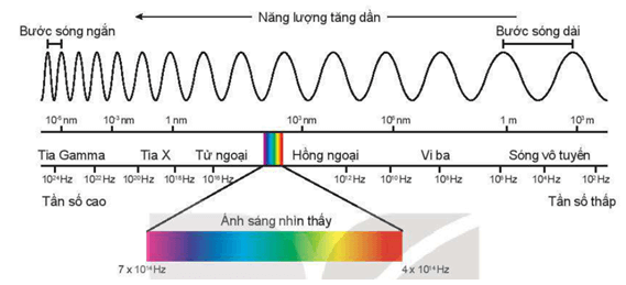 Giải SGK Vật lí 11 Bài 11 (Kết nối tri thức): Sóng điện từ