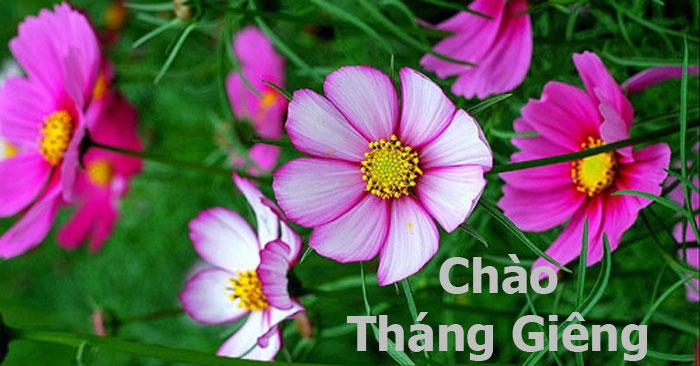 Câu nói hay về tháng 1