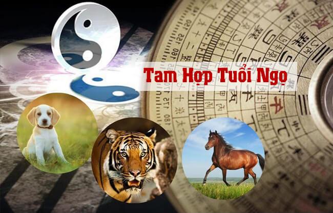 Tam hợp tuổi Ngọ là gì? Tin quan trọng về Tam hợp Dần Ngọ Tuất