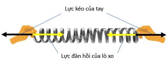 Thế năng đàn hồi là gì? Vai trò và ứng dụng trong thực tế