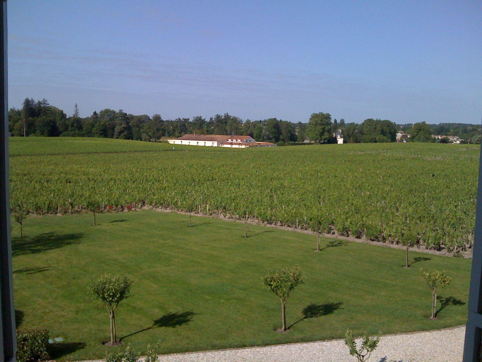 My Article: My Dream for 2012 Bordeaux - Low Prices